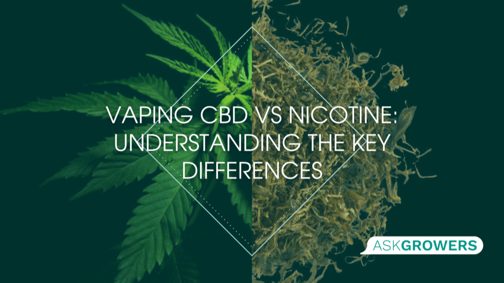 Vaping CBD vs Nicotine: Understanding the Key Differences